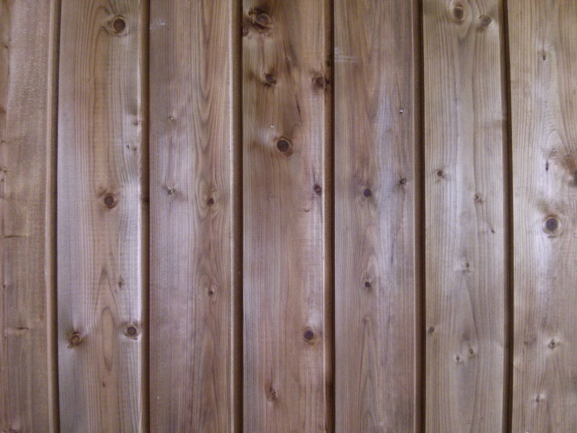 façade en bois pour maison