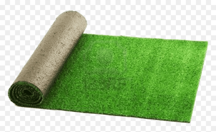 Comment faire pour avoir une pelouse bien verte ?