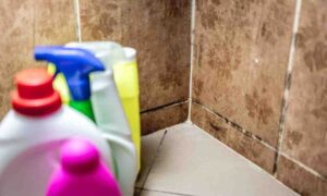 Lire la suite à propos de l’article Comment enlever le noir sur les joints de salle de bain ?
