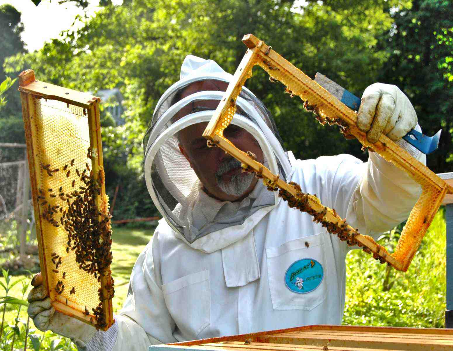 Comment remplir Siret apiculteur ?