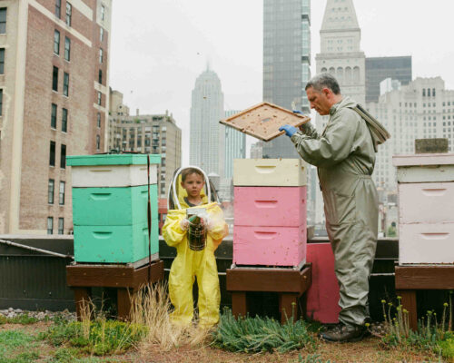 Quel est le meilleur moment pour installer une ruche ?
