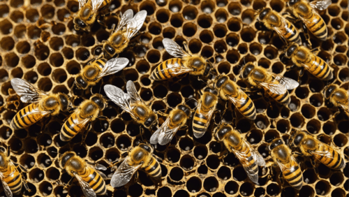 découvrez comment les abeilles jouent un rôle essentiel en tant que sentinelles de l'environnement et contribuent à sa préservation. apprenez comment leur comportement aide à surveiller la santé de la nature et à préserver l'équilibre écologique.