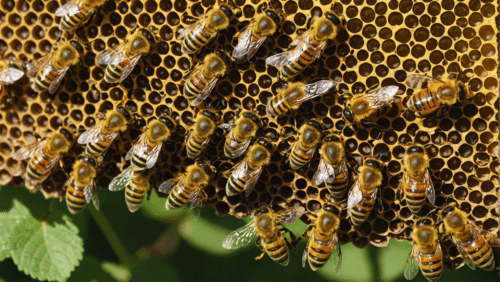 découvrez comment les abeilles butineuses préservent leurs mystères dans cet article captivant sur leur comportement énigmatique.